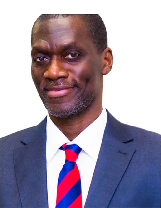 Benjamin Nkana Bassi, principal lawyer